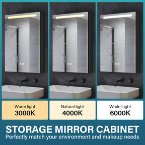 LED Bathroom Cabinet with Makeup Storage Shelf, color Hemp Black , 485x700x130mm