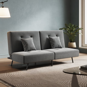 Sofa Bed 2 Seater with Sofa Bed Storage, Double Fold Design, Iron Legs, Adjustable Backrest and 2 Cushions, Dark Grey