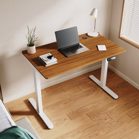 Standing Desk, Height Adjustable Ergonomic Office Desk, power Weight Capacity, varite color and size
