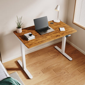 Standing Desk, Height Adjustable Ergonomic Office Desk, power Weight Capacity, varite color and size