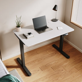 Standing Desk, Height Adjustable Ergonomic Office Desk, power Weight Capacity, varite color and size