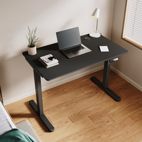 Standing Desk, Height Adjustable Ergonomic Office Desk, power Weight Capacity, varite color and size