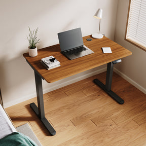 Standing Desk, Height Adjustable Ergonomic Office Desk, power Weight Capacity, varite color and size
