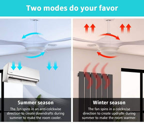 1320mm 52" Ceiling Fan DC 3 Blades With LED Light And Remote Control - Elegantshowers