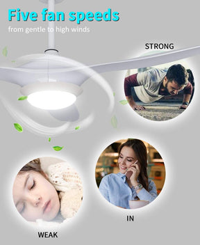 1320mm 52" Ceiling Fan DC 3 Blades With LED Light And Remote Control - Elegantshowers