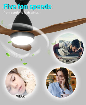 48" 1200mm Ceiling Fan DC 3 Blades With Color Change LED Light & Remote Control - Elegantshowers